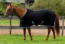 TuffRider Cooler Horse Sheet, Black, 66-in