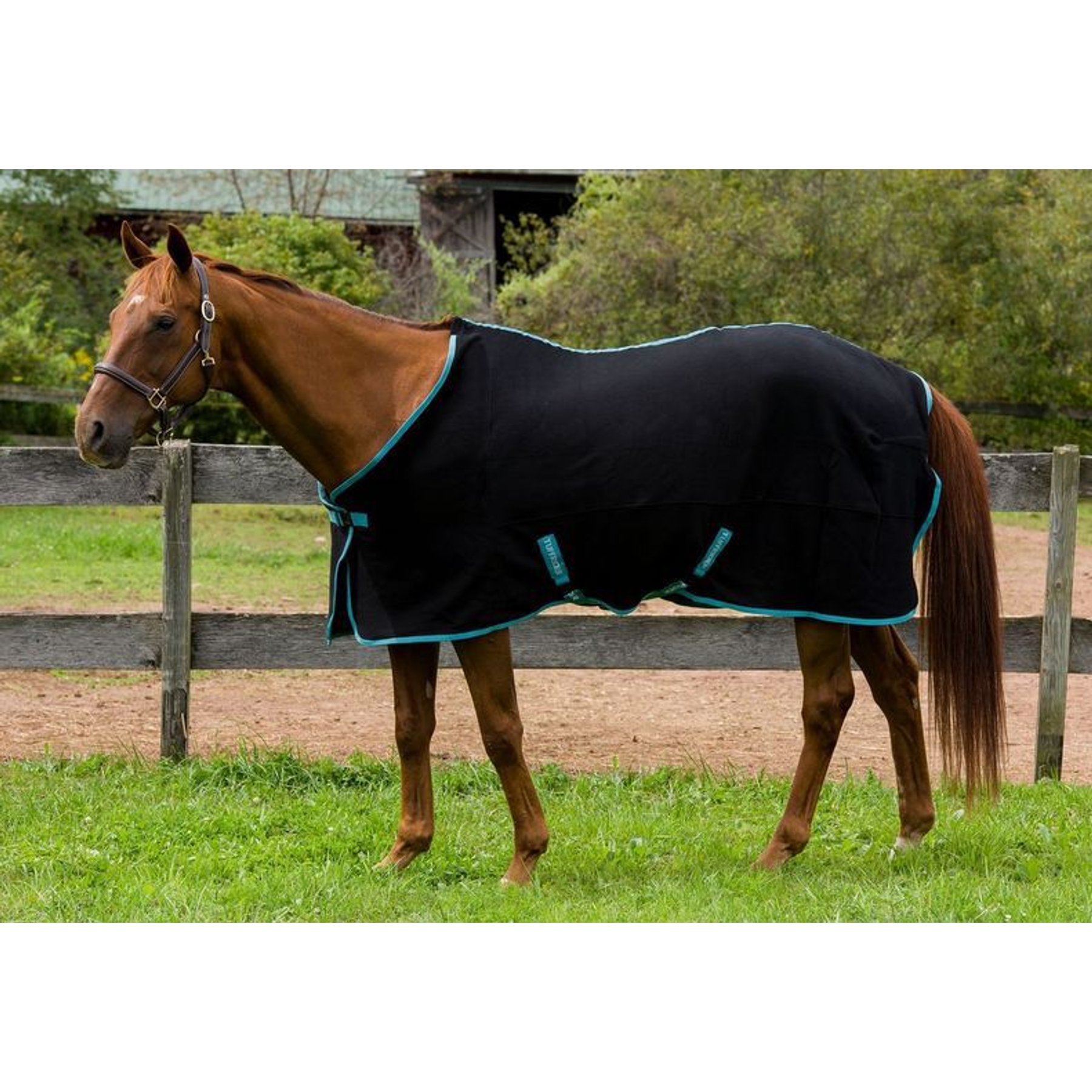 TuffRider Cooler Horse Sheet, Black, 69-in
