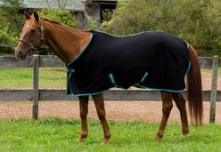 TuffRider Cooler Horse Sheet, Black, 72-in