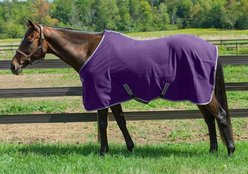TuffRider Cooler Horse Sheet, Deep Wisteria, 75-in