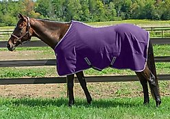 TuffRider Cooler Horse Sheet, Deep Wisteria, 78-in