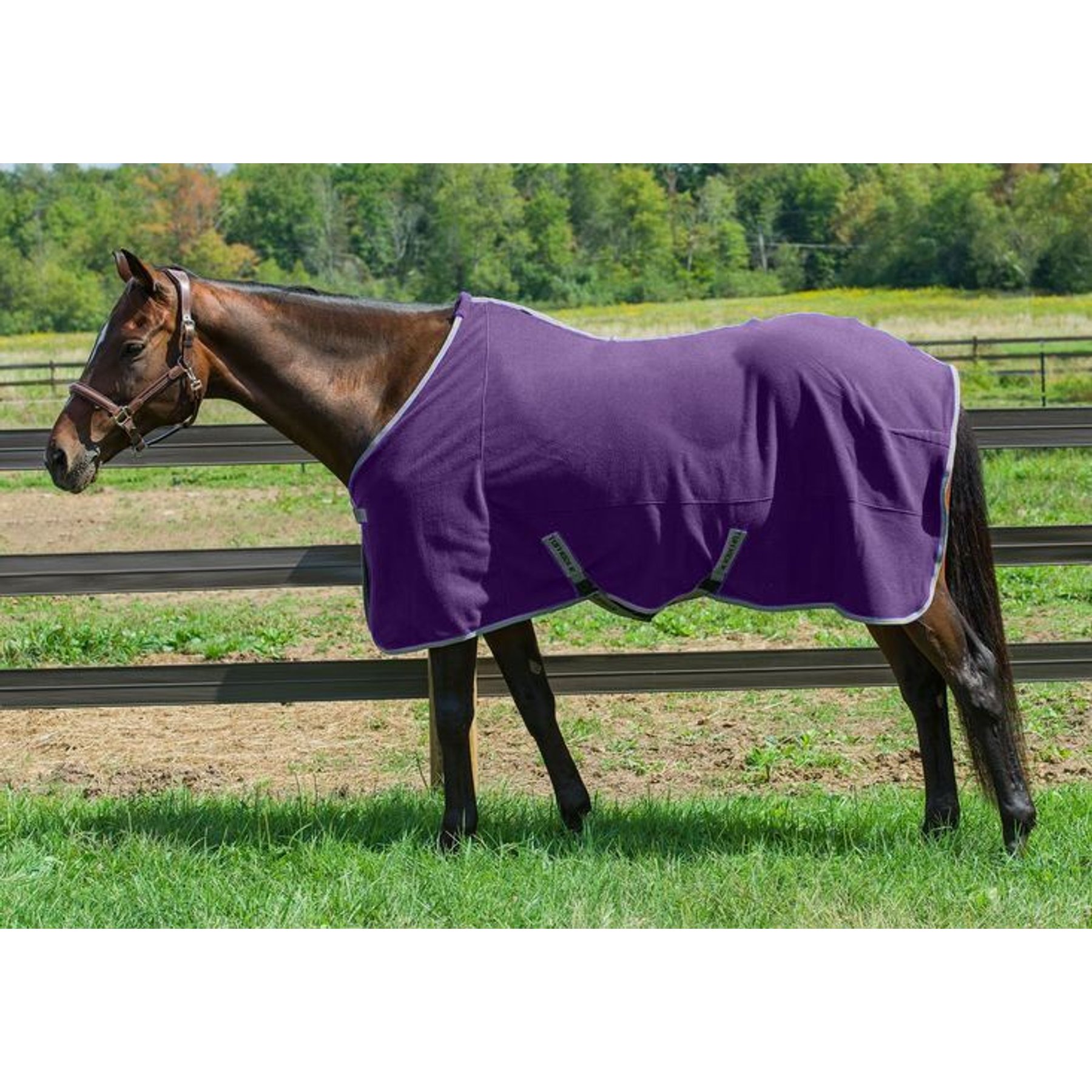 TuffRider Cooler Horse Sheet, Deep Wisteria, 87-in