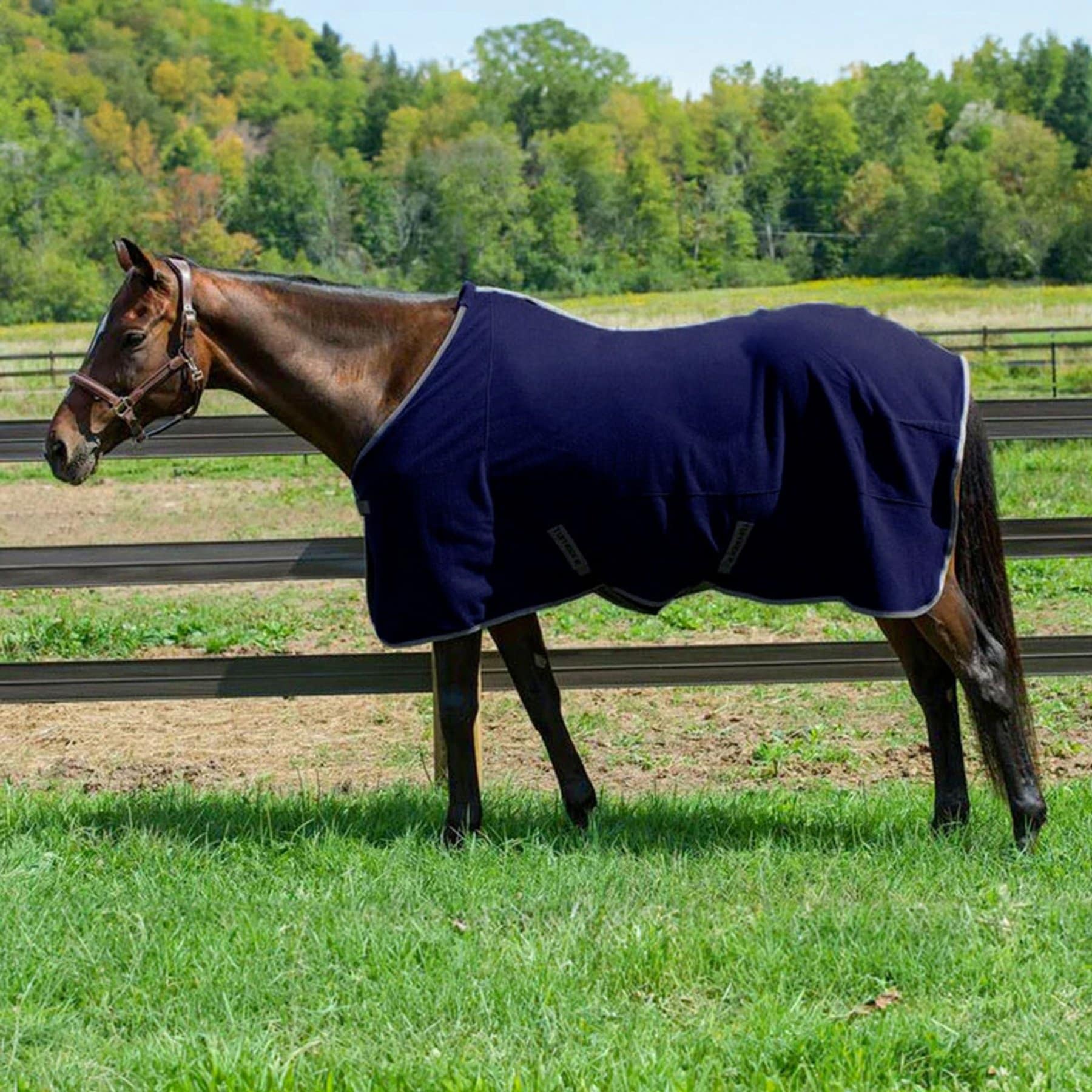 TuffRider Fleece Cooler Horse Sheet, Navy, 78