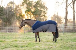 TuffRider Hybrid Standard Neck Horse Cooler Sheet, Navy, 69-in