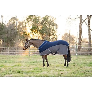 TuffRider Hybrid Standard Neck Horse Cooler Sheet, Navy, 72-in