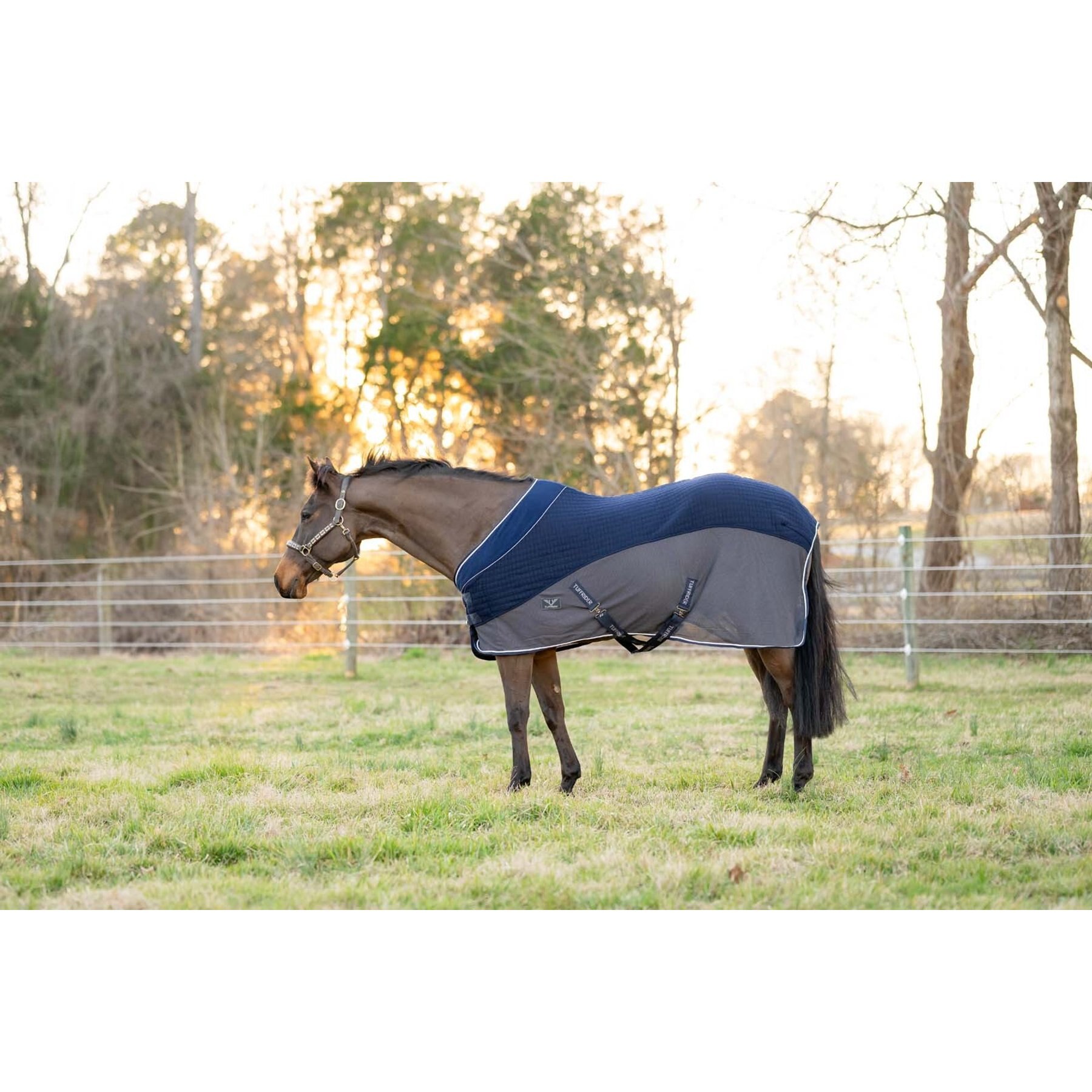 TuffRider Hybrid Standard Neck Horse Cooler Sheet, Navy, 81-in