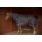 Show in main carousel: TuffRider Kozy Komfort Combi Stable Horse Blanket, Black, 78-in slide 2 of 2