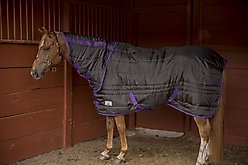 TuffRider Kozy Komfort Combi Stable Horse Blanket, Black, 81-in slide 2 of 2