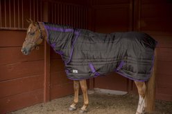 TuffRider Kozy Komfort Combi Stable Horse Blanket, Black, 87-in slide 2 of 3