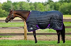 TuffRider Kozy Komfort Stable Horse Blanket, Black, 75-in slide 1 of 5