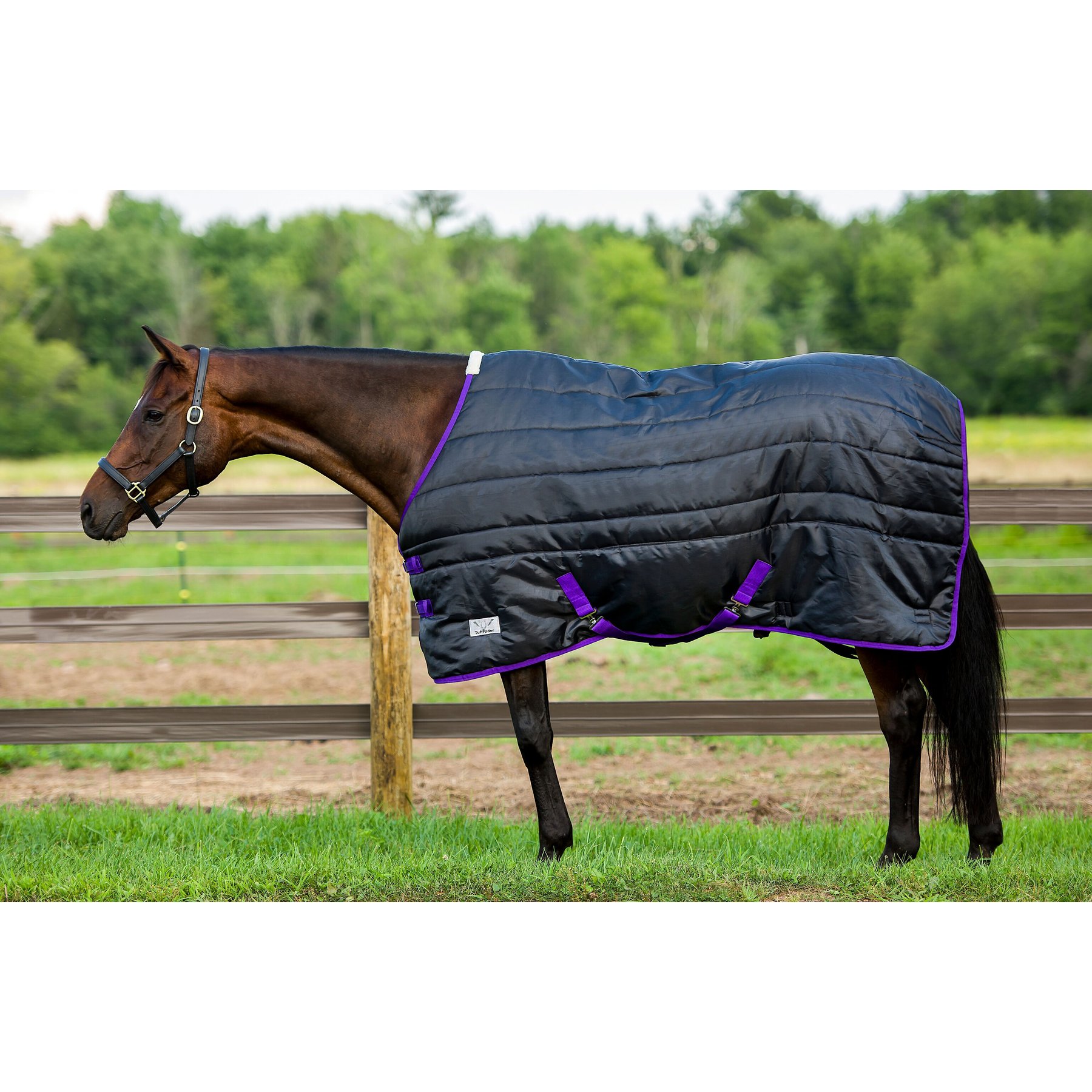 TuffRider Kozy Komfort Stable Horse Blanket, Black, 75-in