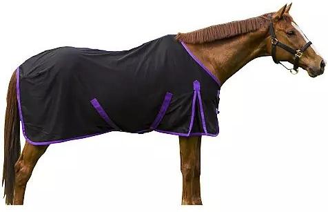 Show full view: TuffRider Kozy Komfort Stable Horse Blanket, Black, 75-in slide 4 of 5