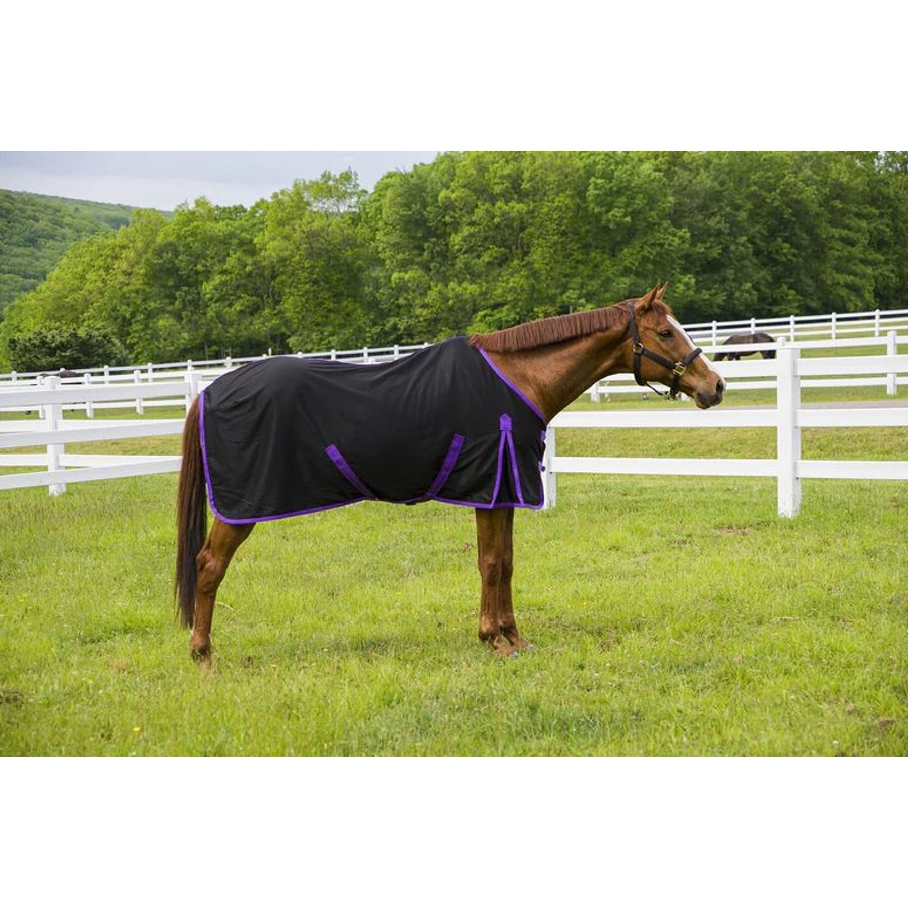 TuffRider Kozy Komfort Horse Stable Sheet, Black, 69-in