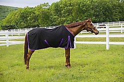 TuffRider Kozy Komfort Stable Horse Sheet, Black, 78-in