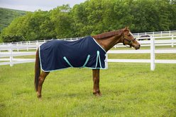 TuffRider Kozy Komfort Stable Horse Sheet, Navy, 72-in