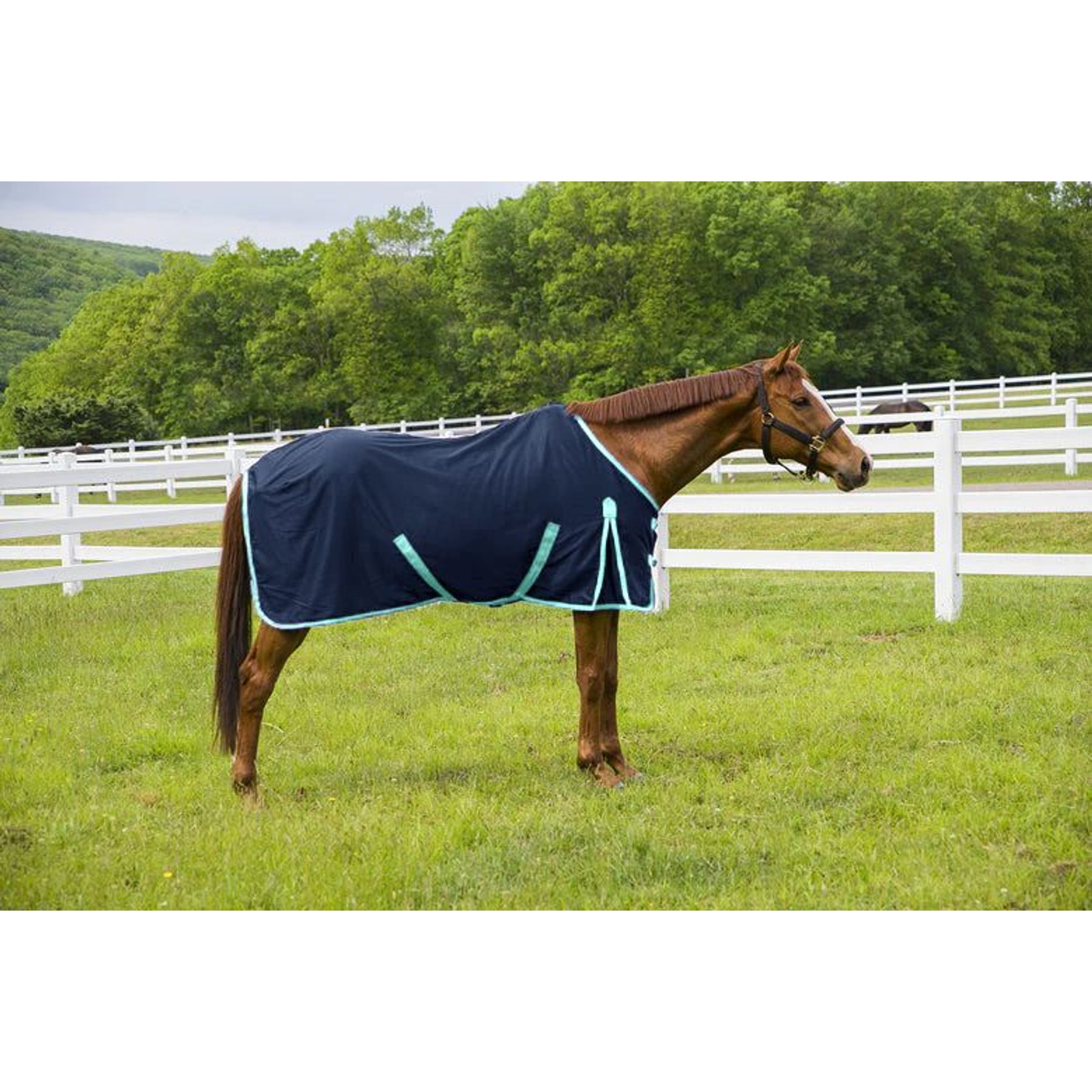 TuffRider Kozy Komfort Horse Stable Sheet, Navy, 75-in