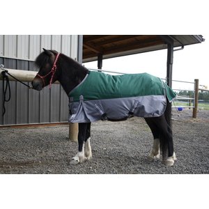 Manta De Caballo 1200d Impermeable Para Invierno, | Cuotas Sin Interés