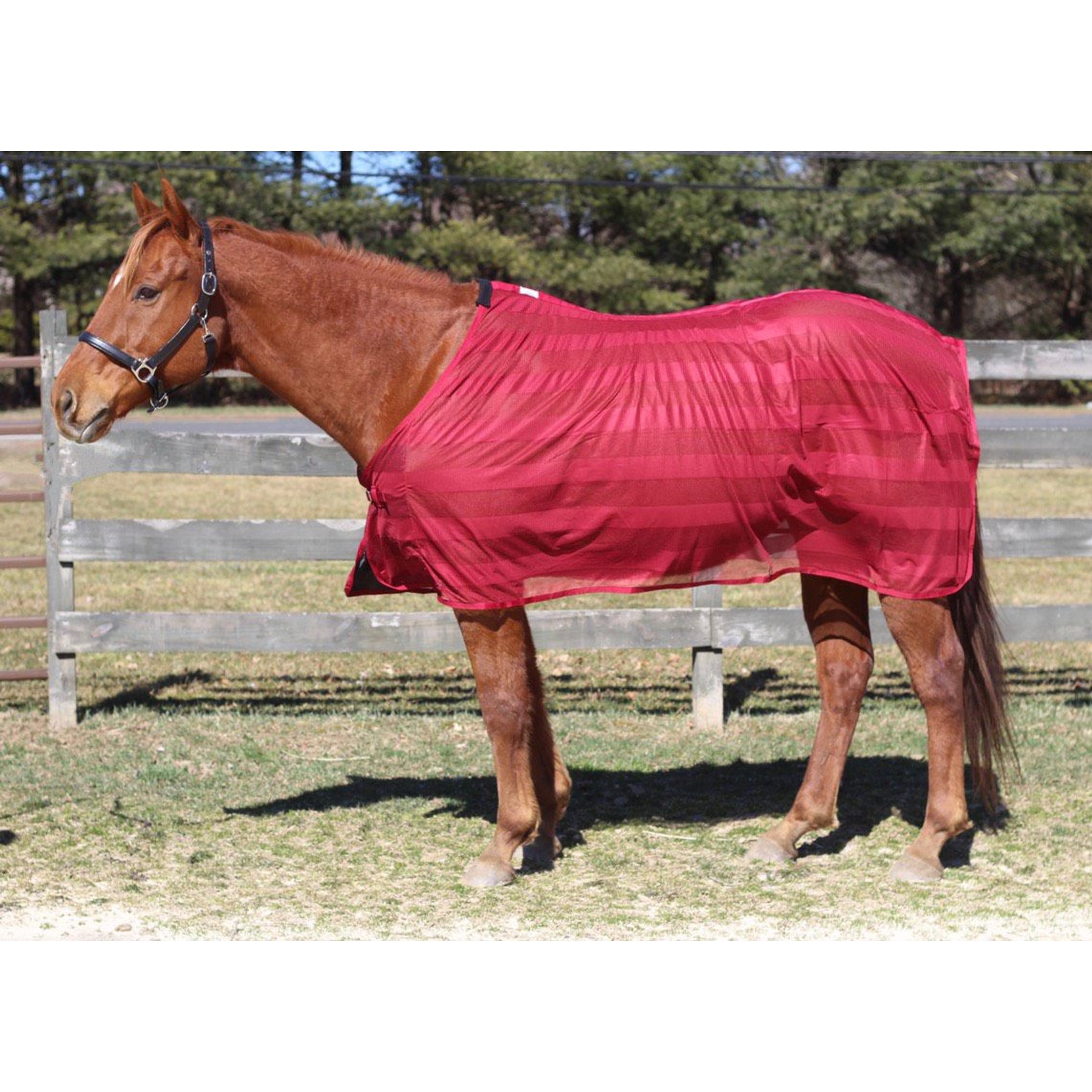 TuffRider Horse Scrim Sheet, Burgundy, 78-in