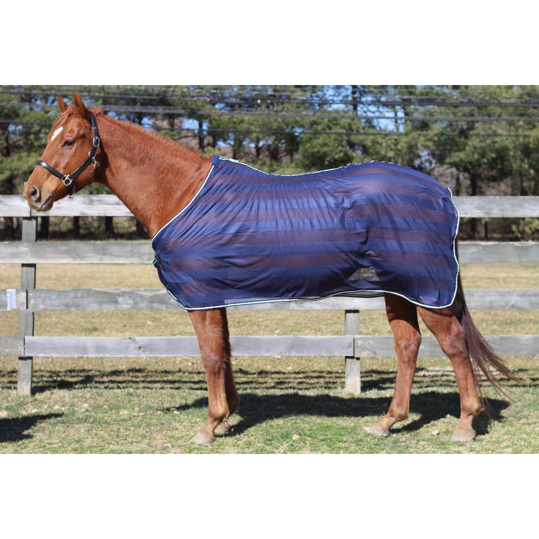 TuffRider Horse Scrim Sheet, Navy, 78-in