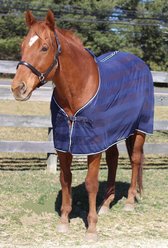 TuffRider Horse Scrim Sheet, Navy, 78-in slide 2 of 4