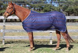 TuffRider Horse Scrim Sheet, Navy, 81-in