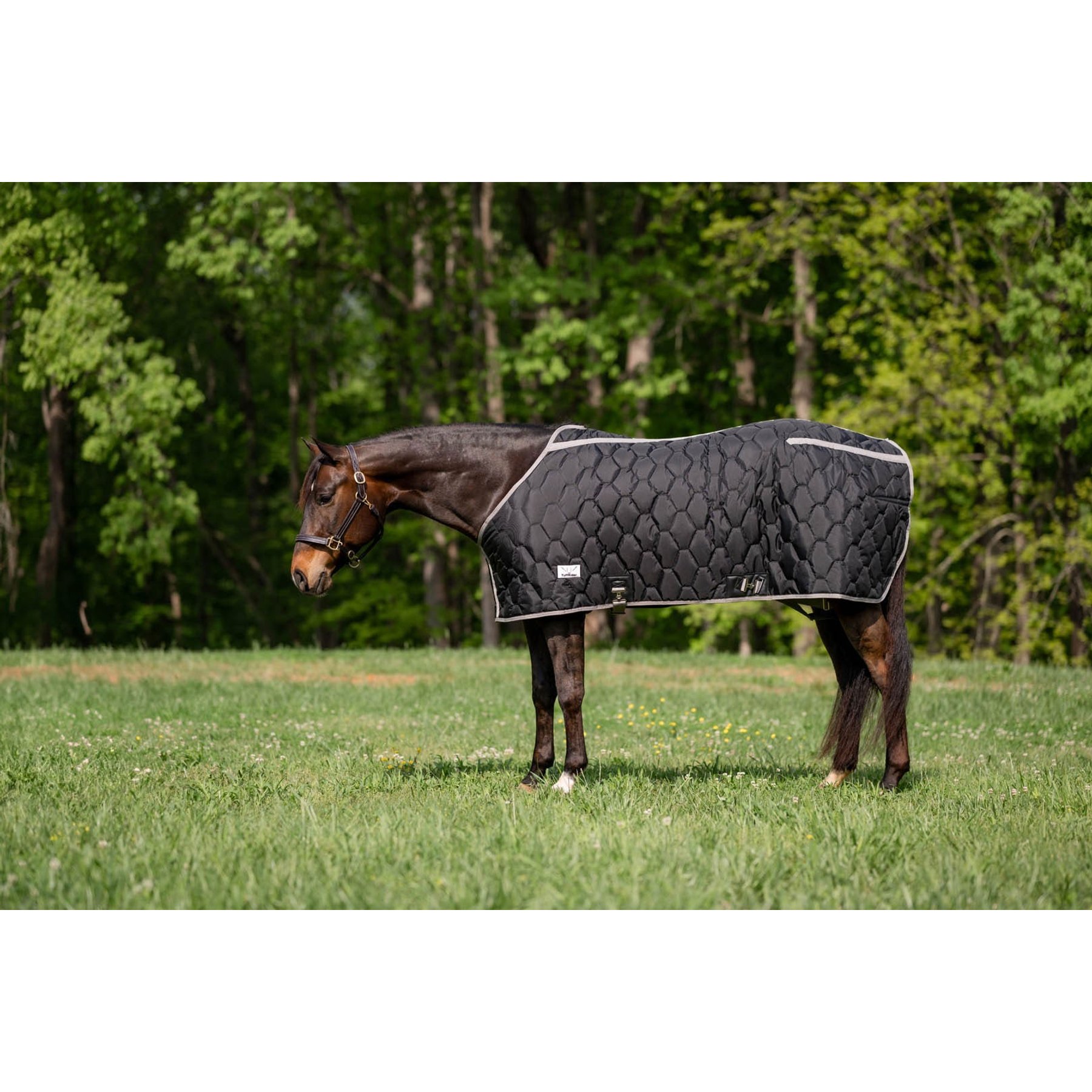 TuffRider Shelter Closed Front Heavy Weight Horse Stable Blanket, Black/Grey, 72-in