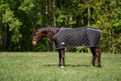 TuffRider Shelter Closed Front Heavy Weight Horse Stable Blanket, Black/Grey, 80-in