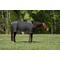 Show in main carousel: TuffRider Shelter Closed Front Heavy Weight Horse Stable Blanket, Black/Grey, 82-in slide 5 of 6