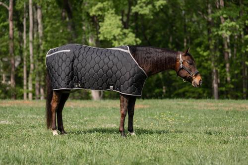 Show full view: TuffRider Shelter Closed Front Heavy Weight Horse Stable Blanket, Black/Grey, 82-in slide 5 of 6