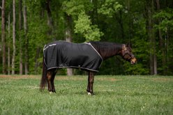 TuffRider Shelter Closed Front Horse Stable Sheet, Black/Grey, 68-in