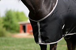 TuffRider Shelter Closed Front Horse Stable Sheet, Black/Grey, 74-in slide 2 of 5