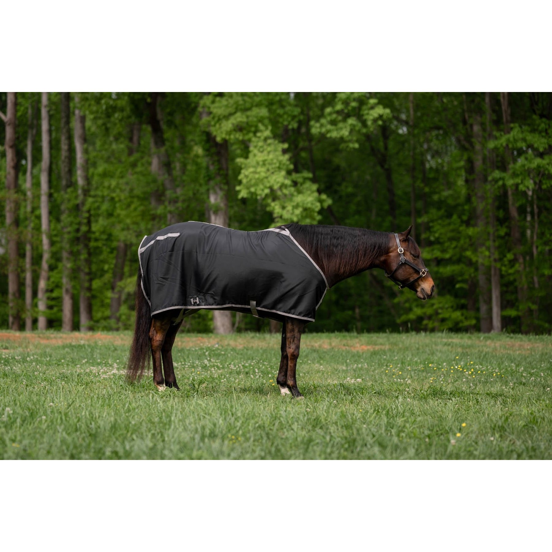 TuffRider Shelter Closed Front Horse Stable Sheet, Black/Grey, 82-in