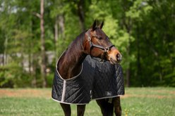 TuffRider Shelter Closed Front Medium Weight Horse Stable Blanket, Black/Grey, 70-in