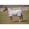 Show in main carousel: TuffRider Sport CoolMax/Mesh Blend Combo Neck Horse Fly Sheet, 75-in slide 1 of 3