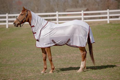 Show full view: TuffRider Sport CoolMax/Mesh Blend Combo Neck Horse Fly Sheet, 78-in slide 1 of 3