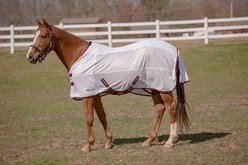 TuffRider Sport CoolMax/Mesh Blend Standard Neck Horse Fly Sheet, 72-in