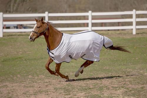 Show full view: TuffRider Sport CoolMax/Mesh Blend Standard Neck Horse Fly Sheet, 72-in slide 2 of 3