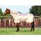 Show in main carousel: TuffRider Sport Mesh Combo Neck Horse Fly Sheet, Frosted Almond, 69-in slide 1 of 3