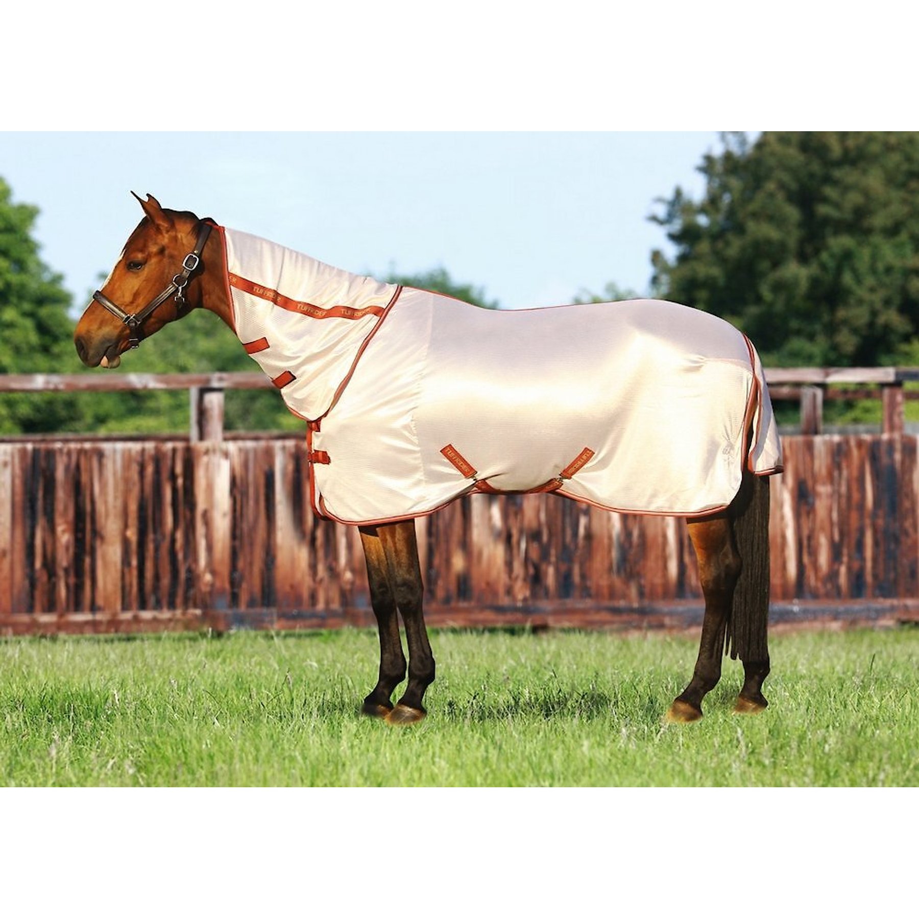 TuffRider Sport Mesh Combo Neck Horse Fly Sheet, Frosted Almond, 75-in