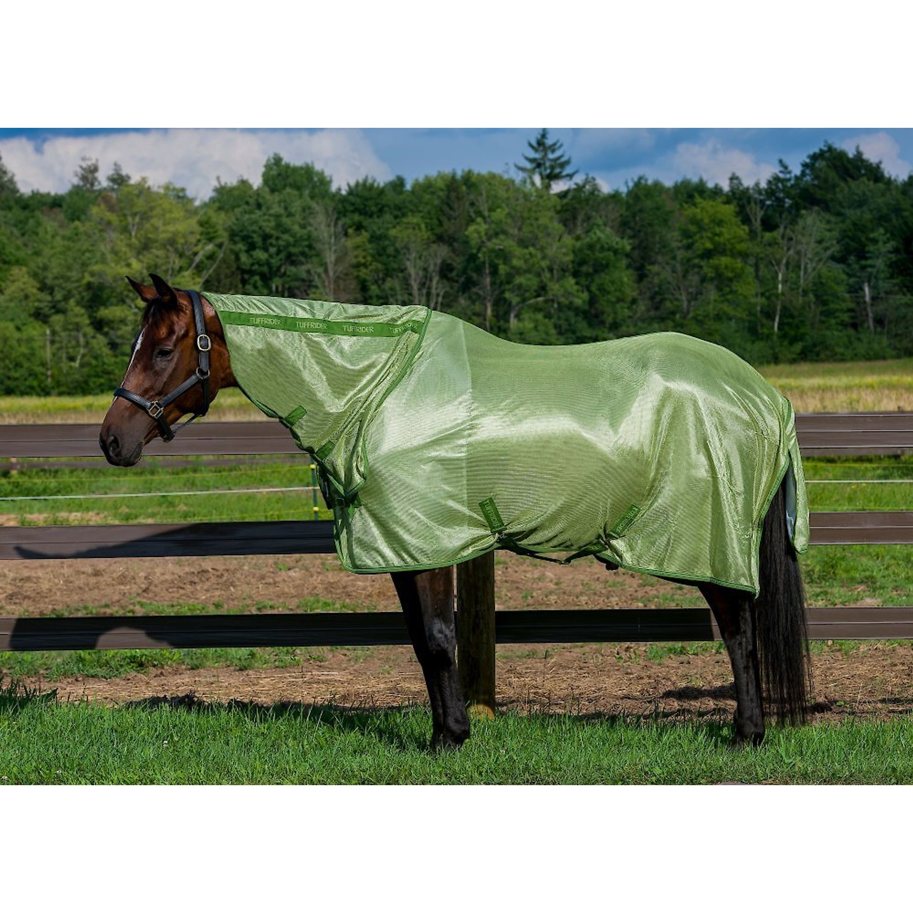 TuffRider Sport Mesh Combo Neck Horse Fly Sheet, Sage/Tree Top, 72-in
