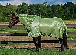 TuffRider Sport Mesh Combo Neck Horse Fly Sheet, Sage/Tree Top, 81-in