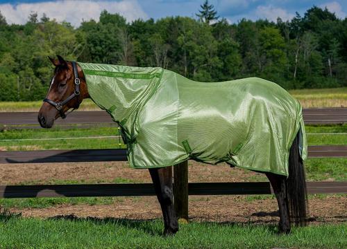 Show full view: TuffRider Sport Mesh Combo Neck Horse Fly Sheet, Sage/Tree Top, 81-in slide 1 of 3
