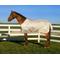Show in main carousel: TuffRider Sport Mesh Horse Fly Sheet, Frosted Almond, 66-in slide 1 of 2