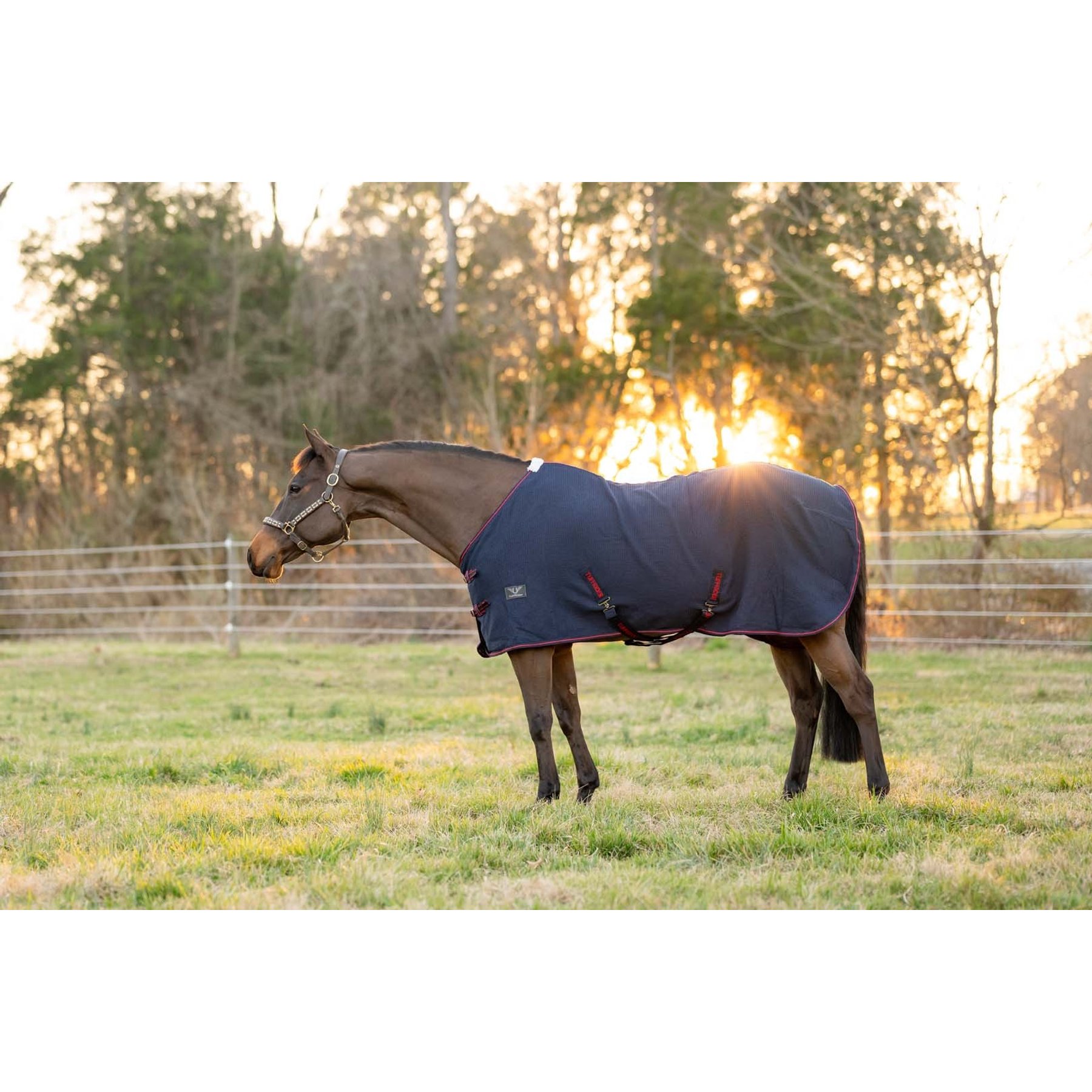 TuffRider Waffle Weave Standard Neck Horse Cooler Sheet, Navy, 72-in