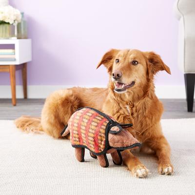 Show full view: Tuffy's Arnie the Armadillo Plush Dog Toy slide 3 of 8