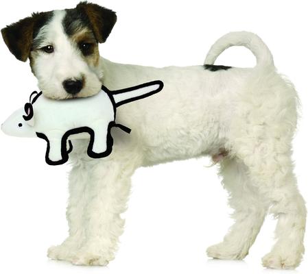 Show full view: Tuffy's Barnyard Mouse Plush Dog Toy slide 3 of 8