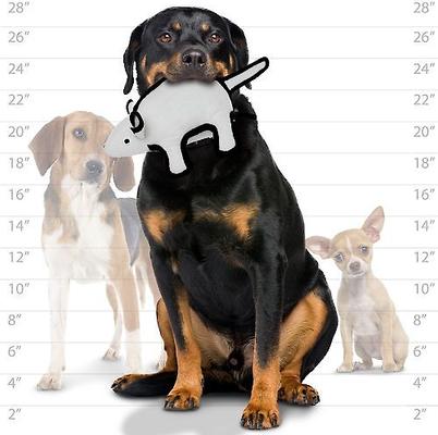 Show full view: Tuffy's Barnyard Mouse Plush Dog Toy slide 4 of 8