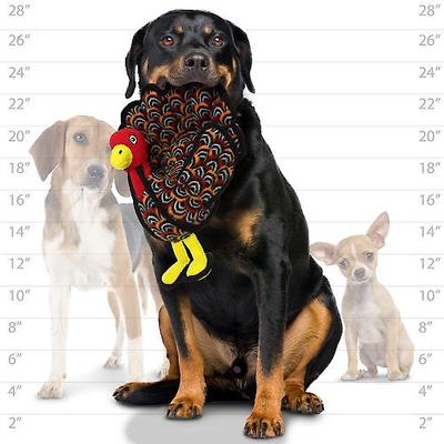 Show full view: Tuffy's Barnyard Turkey Squeaky Plush Dog Toy slide 5 of 9