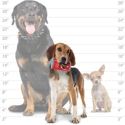 Show full view: Tuffy's Canine Cola Durable Squeaky Dog Toy slide 7 of 8