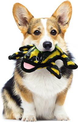 Show full view: Tuffy's Desert Phrog Plush Dog Toy slide 3 of 11